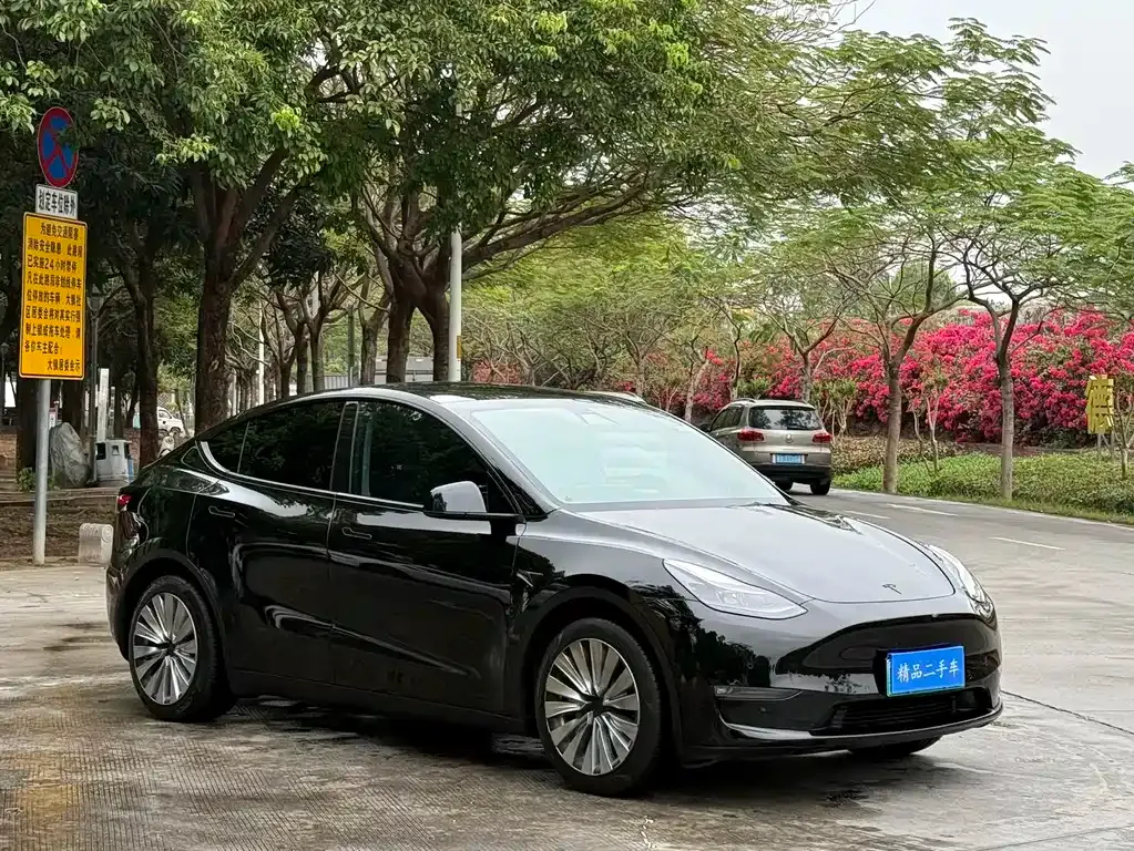 Tesla Model Y — фото 9