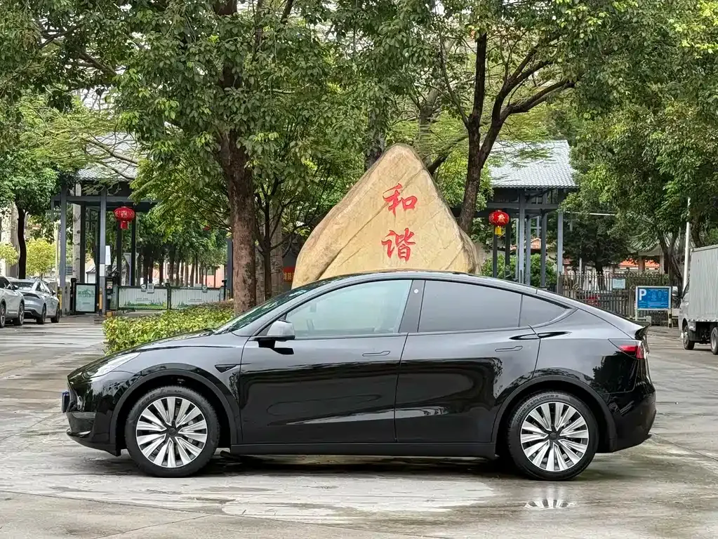 Tesla Model Y — фото 10