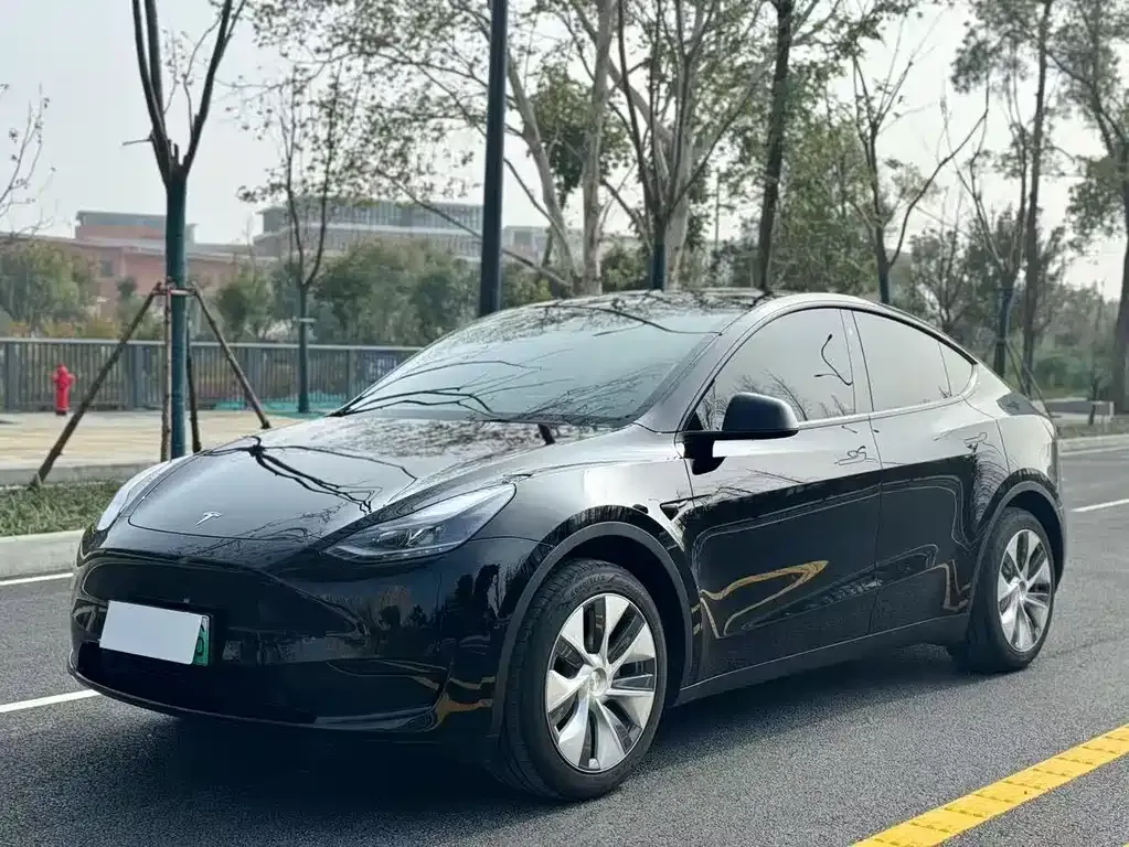 Tesla Model Y — фото 1