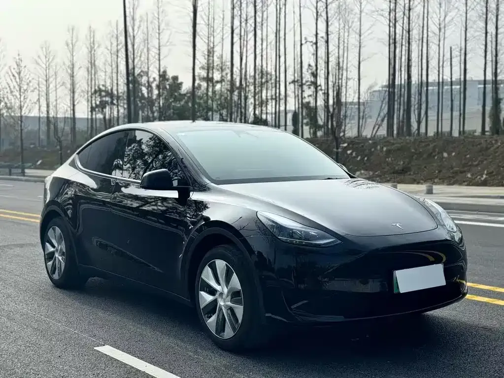 Tesla Model Y — фото 4