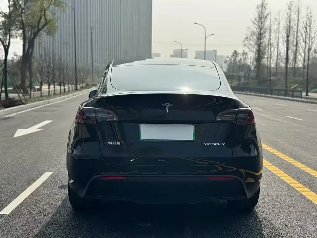 Tesla Model Y — фото 6