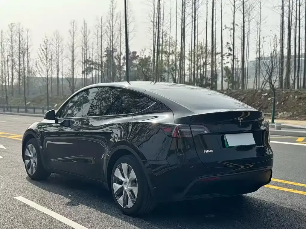 Tesla Model Y — фото 8