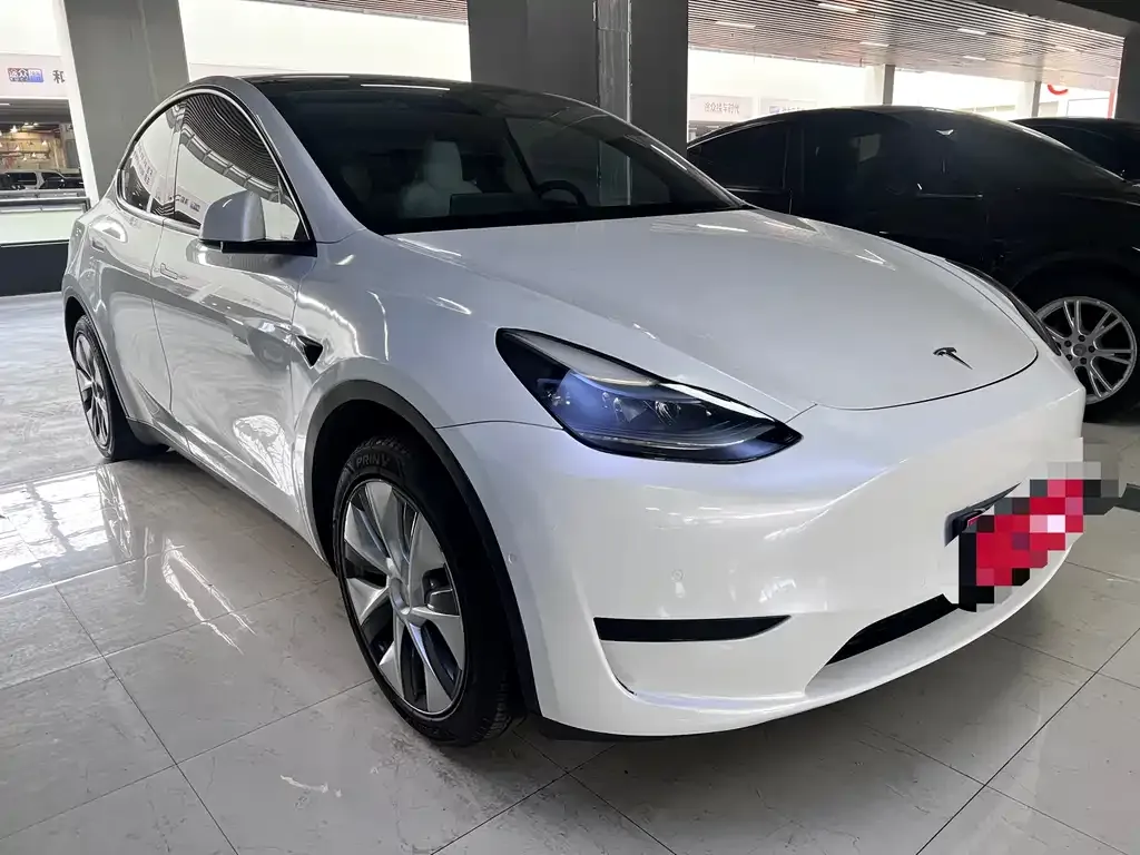 Tesla Model Y — фото 3