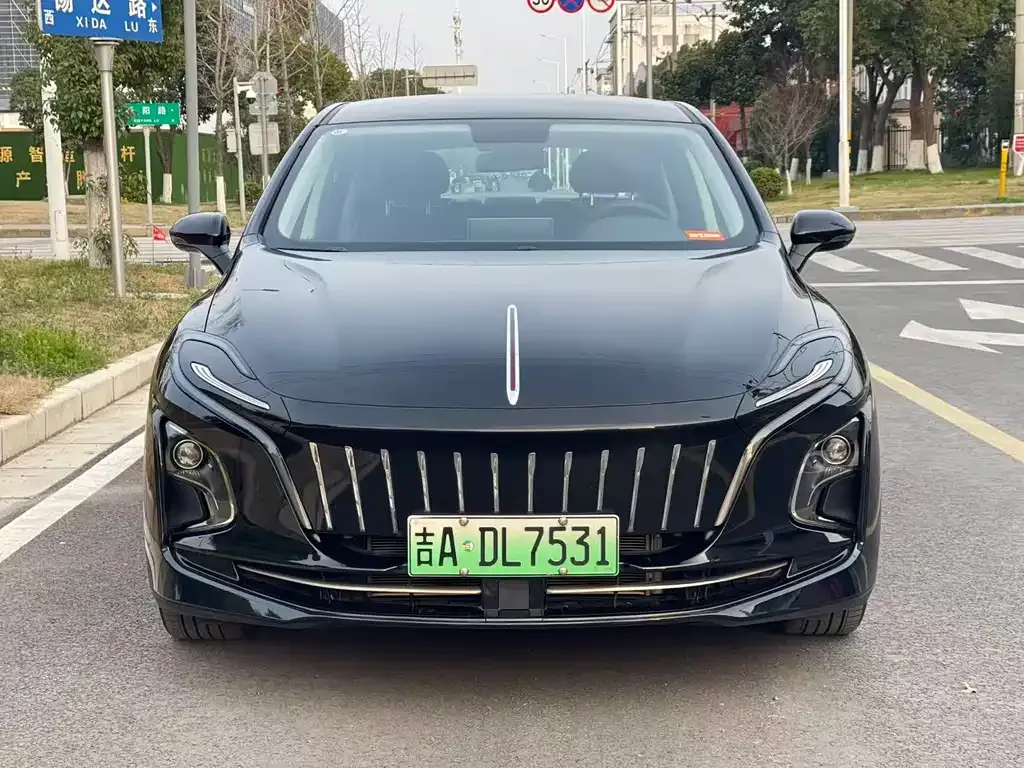 Hongqi E-QM5 — фото 10