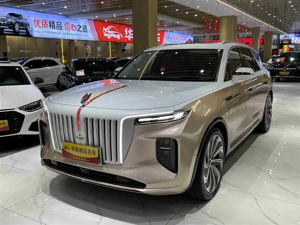 Hongqi E-HS9 2021 из CN, фото 1