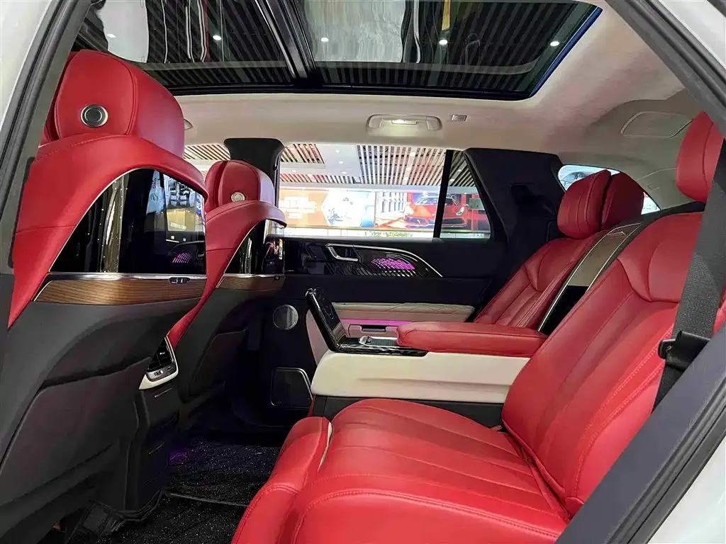 Hongqi E-HS9 2021 из CN, фото 9