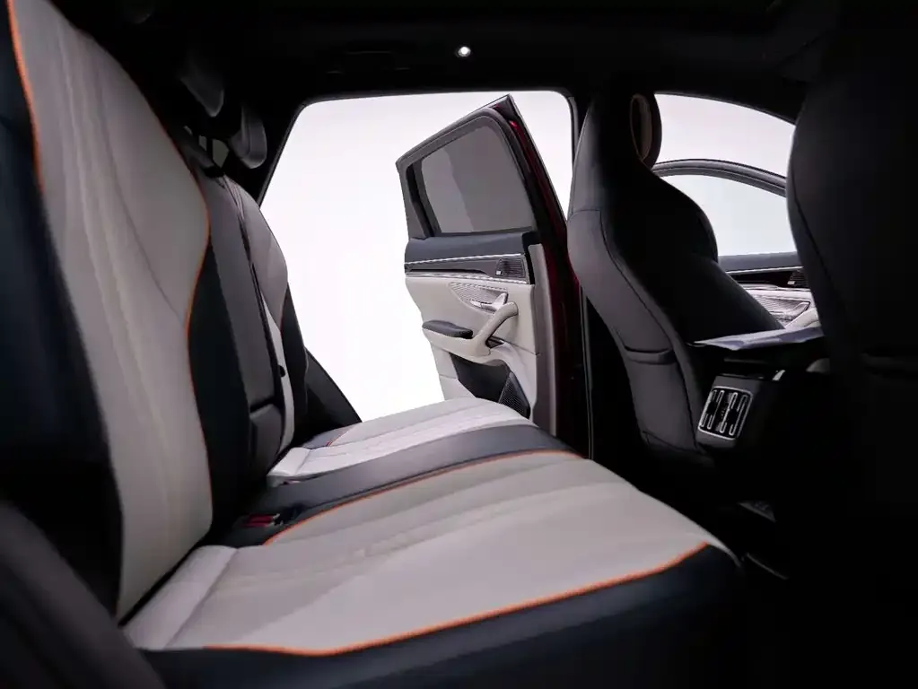 BYD PLUS New Energy 2021 из CN, фото 10