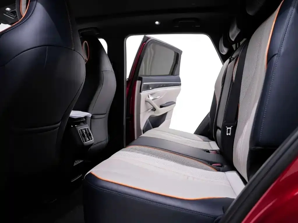 BYD PLUS New Energy 2021 из CN, фото 2