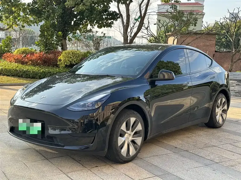 Tesla Model Y 2023 из CN, фото 1