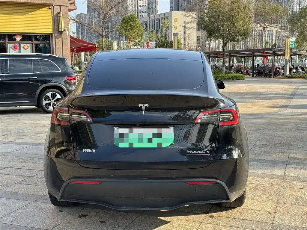 Tesla Model Y 2023 из CN, фото 8