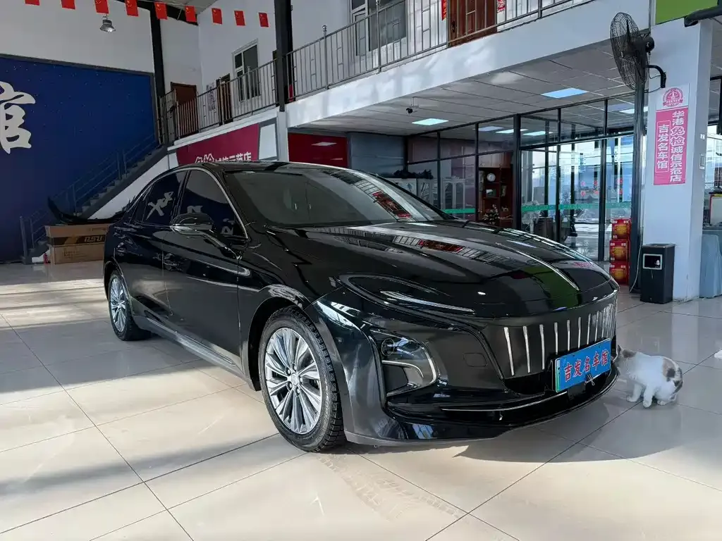 Hongqi E-QM5 2025 из CN, фото 9