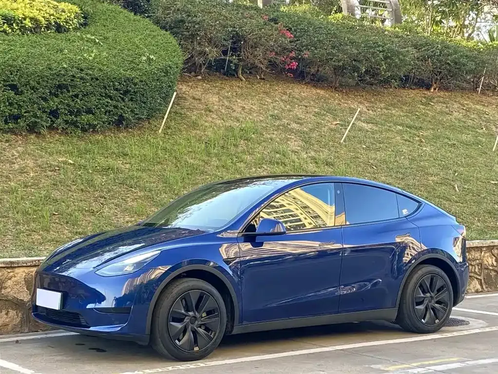 Tesla Model Y — фото 1