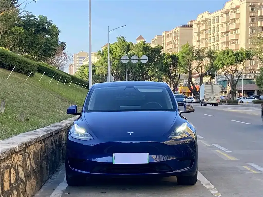Tesla Model Y — фото 6
