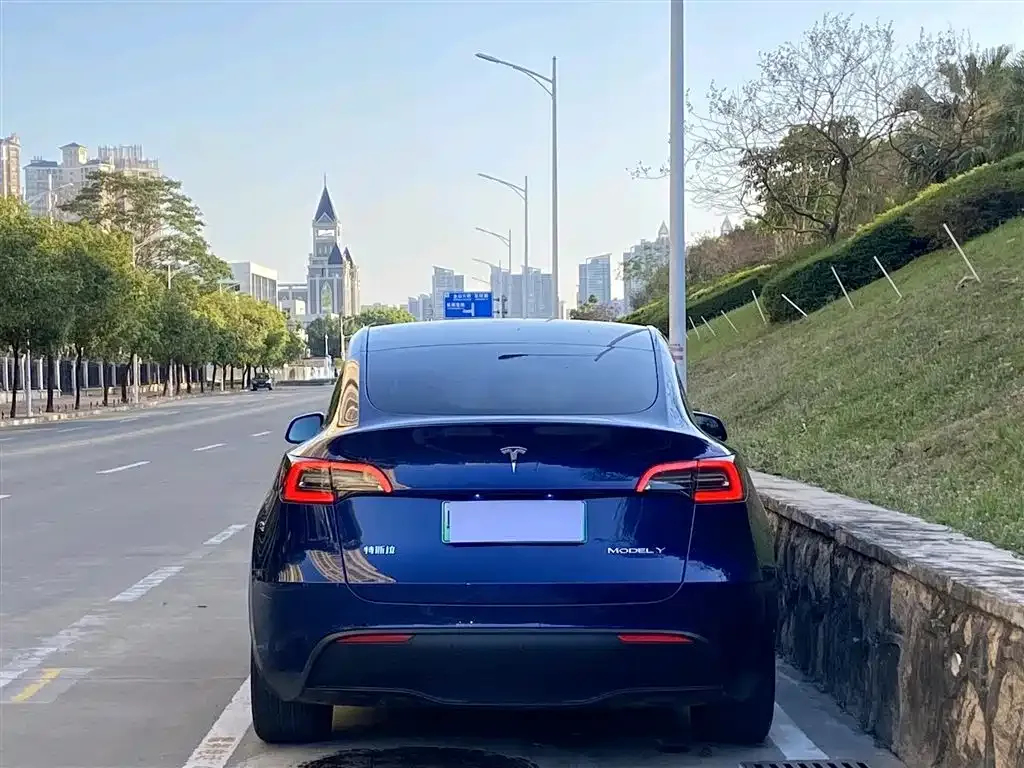 Tesla Model Y — фото 8