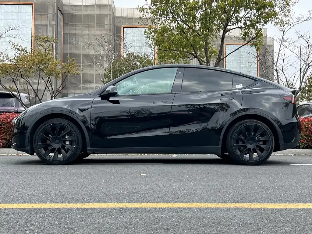 Tesla Model Y — фото 7