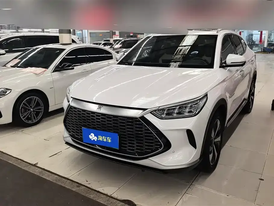 BYD PLUS New Energy — фото 1