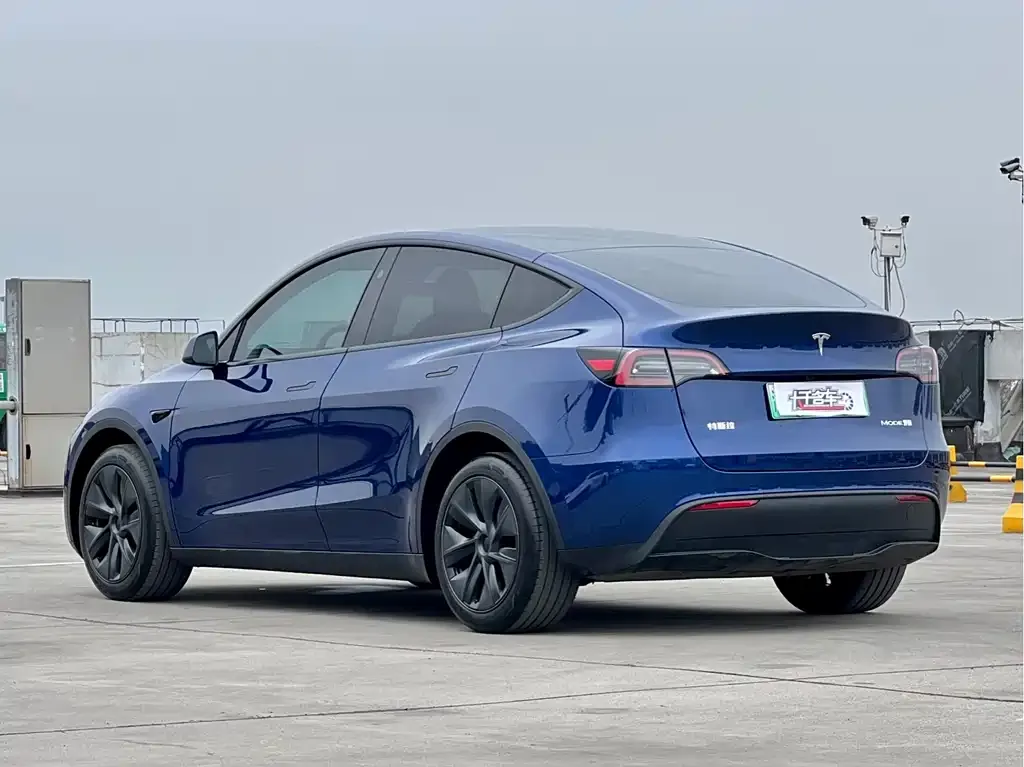 Tesla Model Y — фото 8