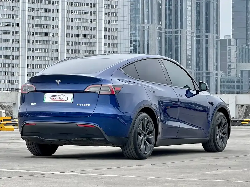 Tesla Model Y — фото 5