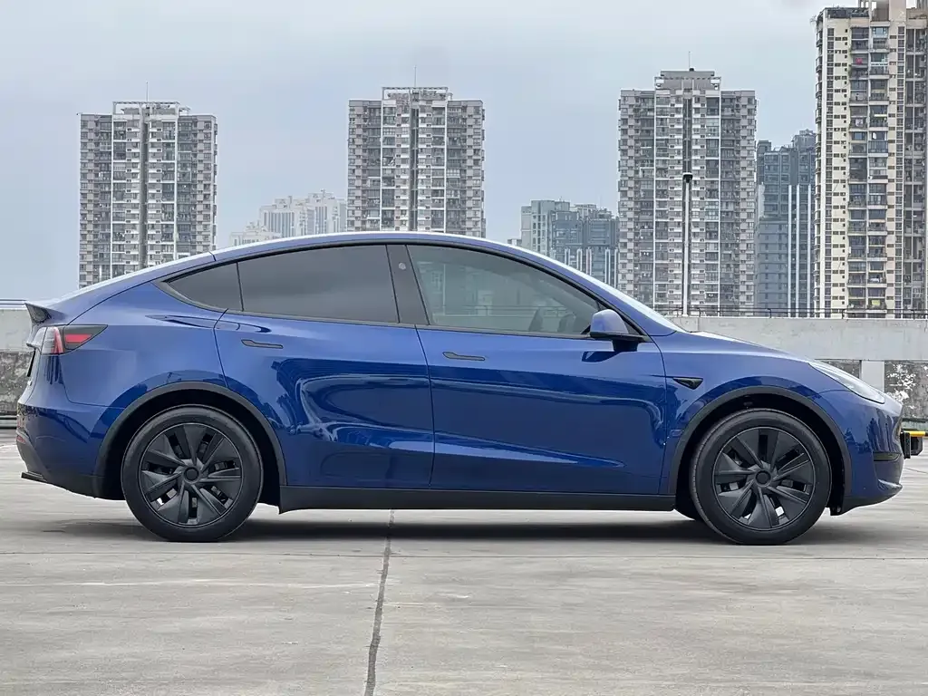 Tesla Model Y — фото 10
