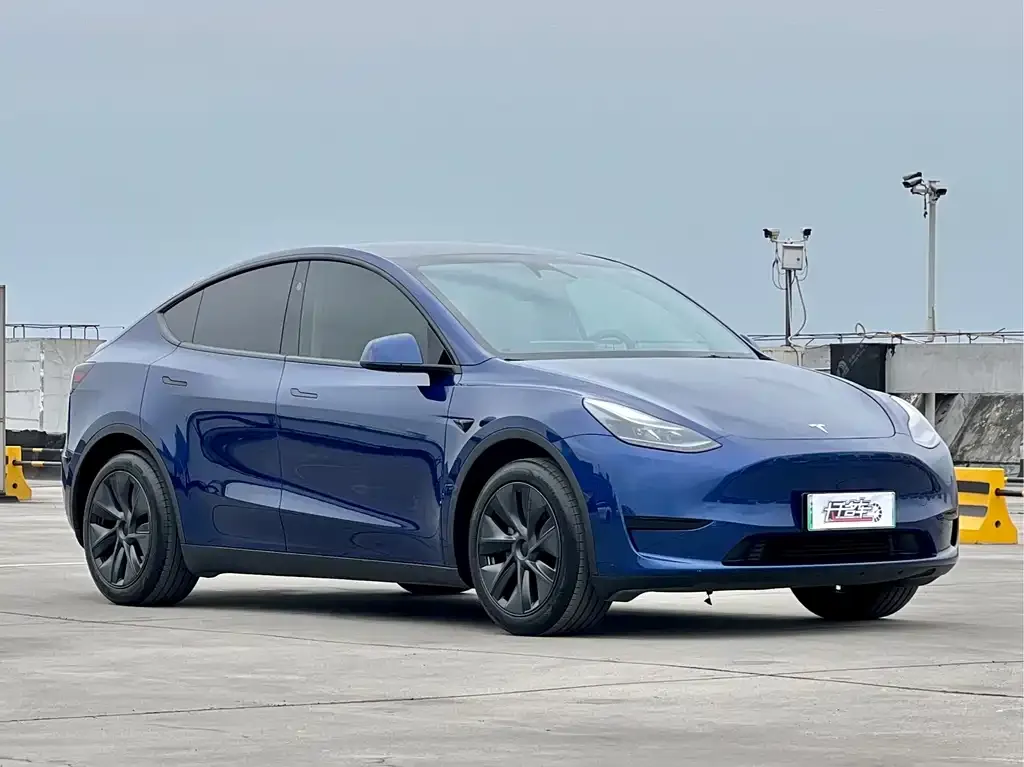 Tesla Model Y — фото 9