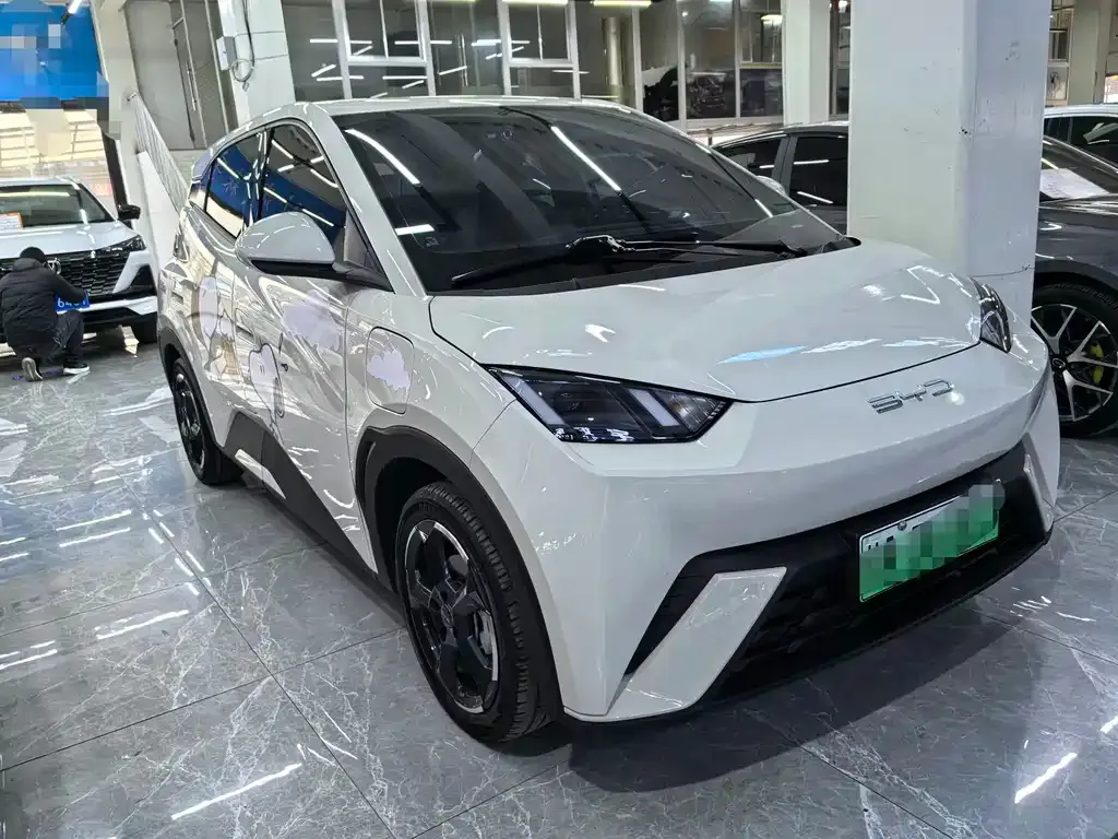 BYD Seagull 2024 из CN, фото 4