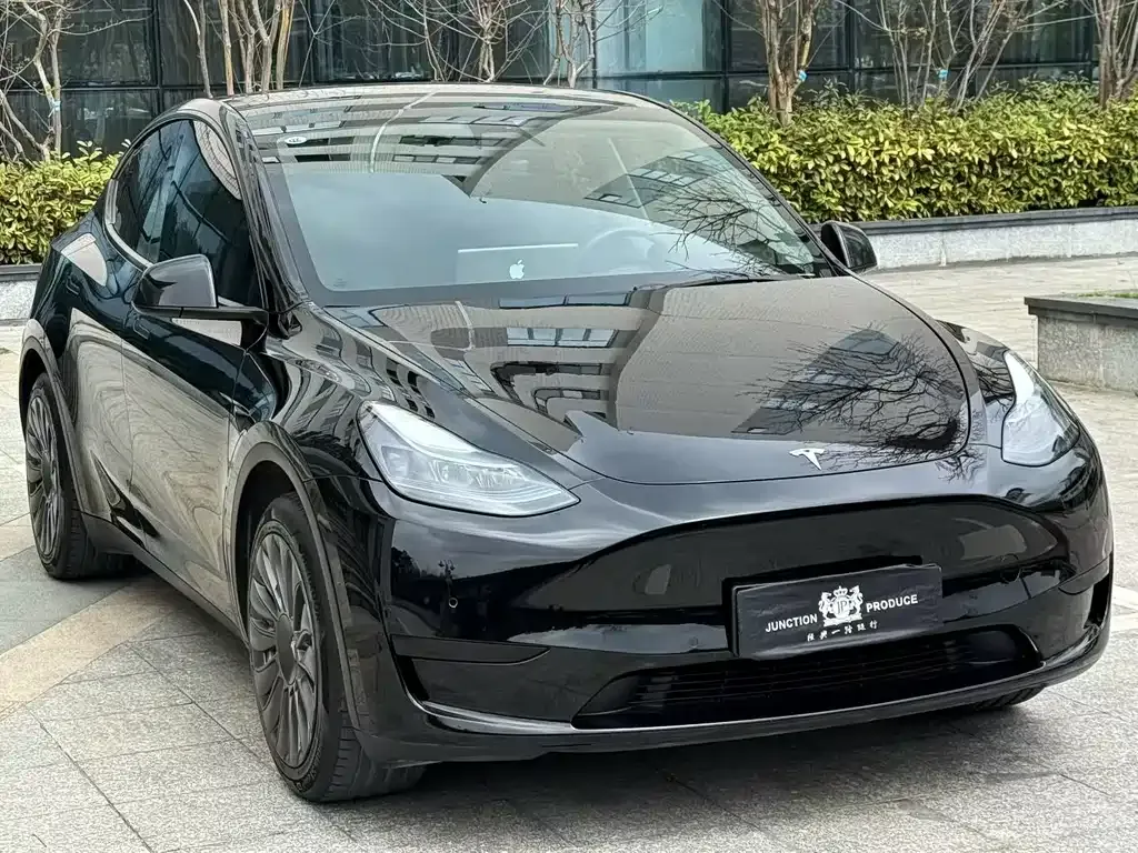 Tesla Model Y — фото 1