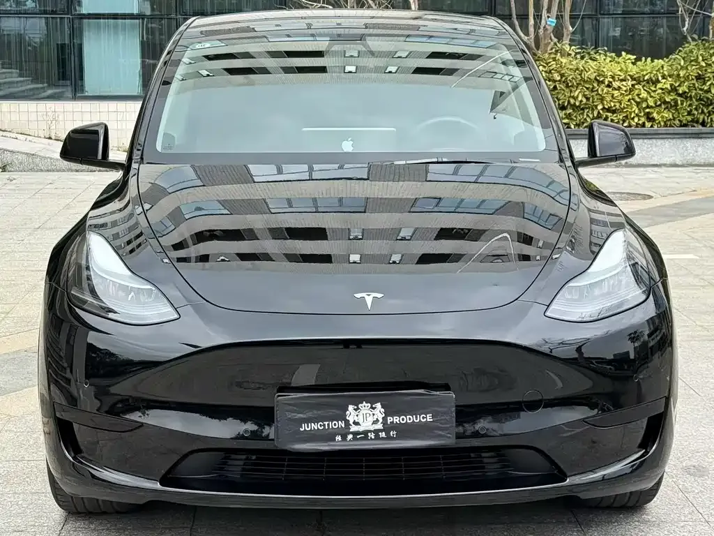 Tesla Model Y — фото 9