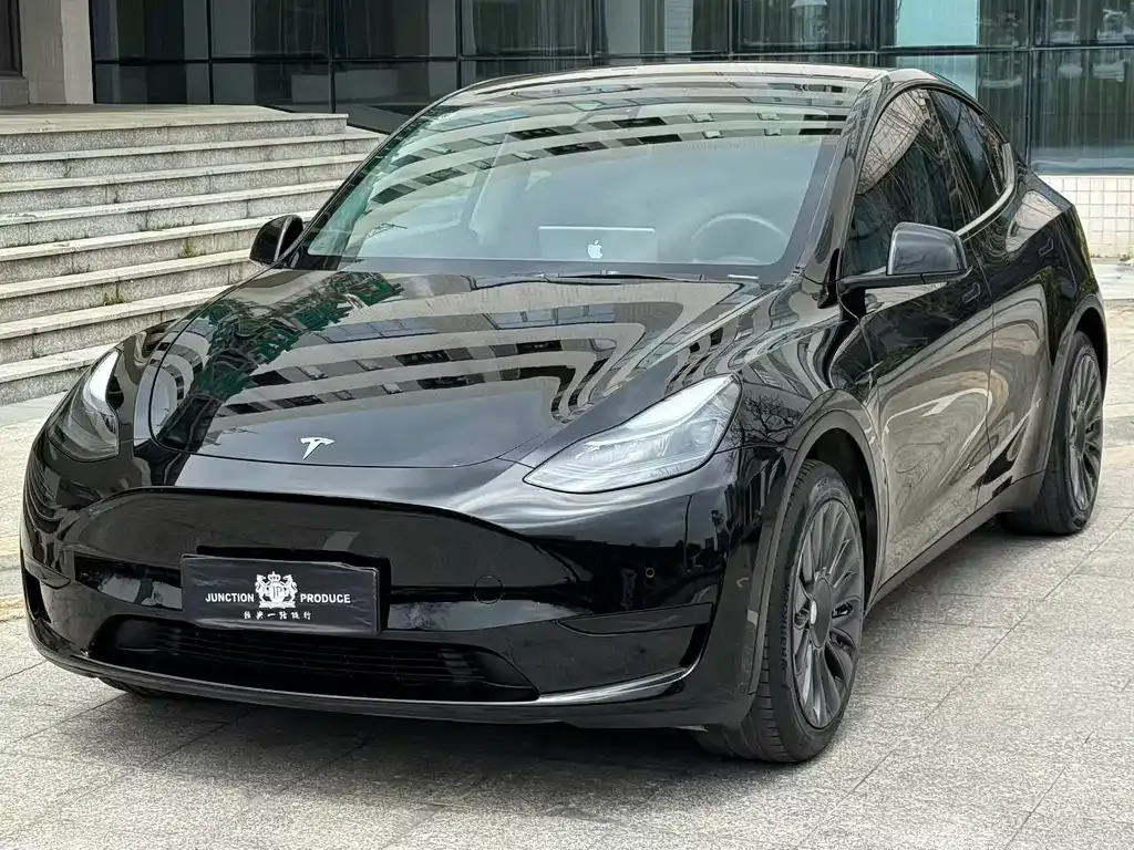Tesla Model Y — фото 7