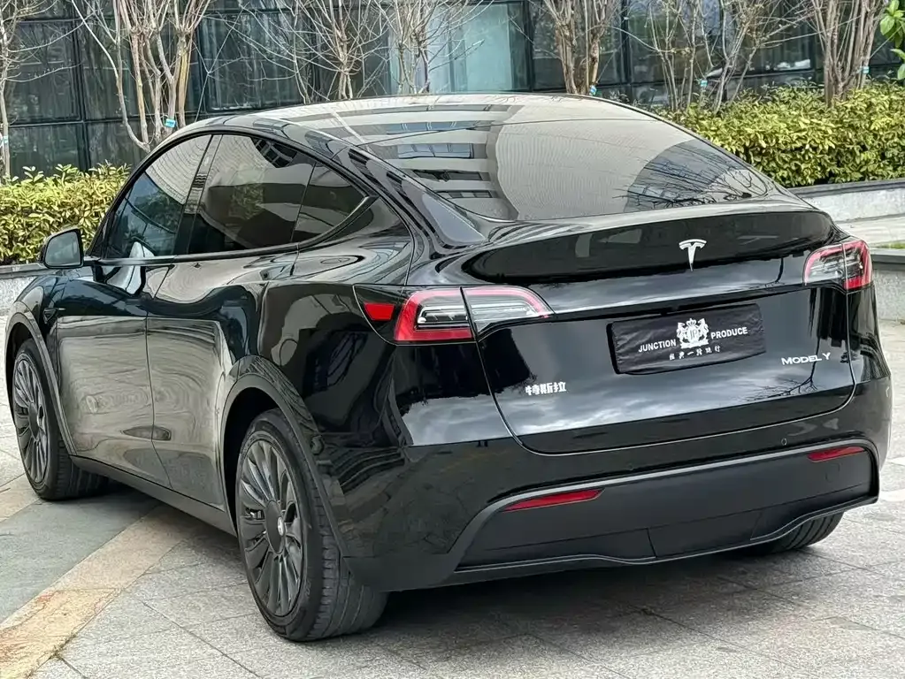 Tesla Model Y — фото 8