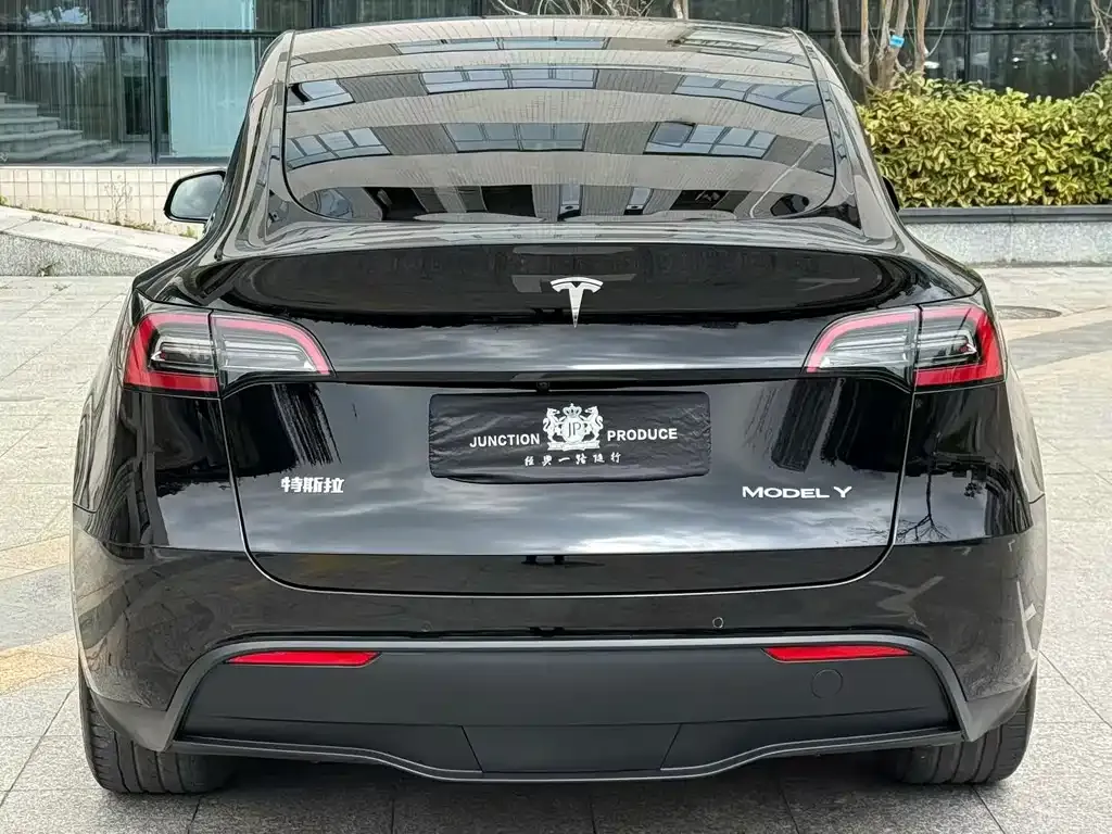 Tesla Model Y — фото 6
