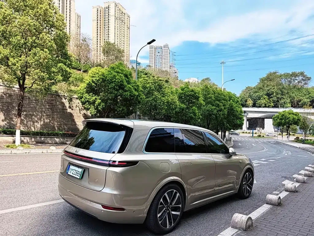 Li Auto Li L9 2023 из CN, фото 9