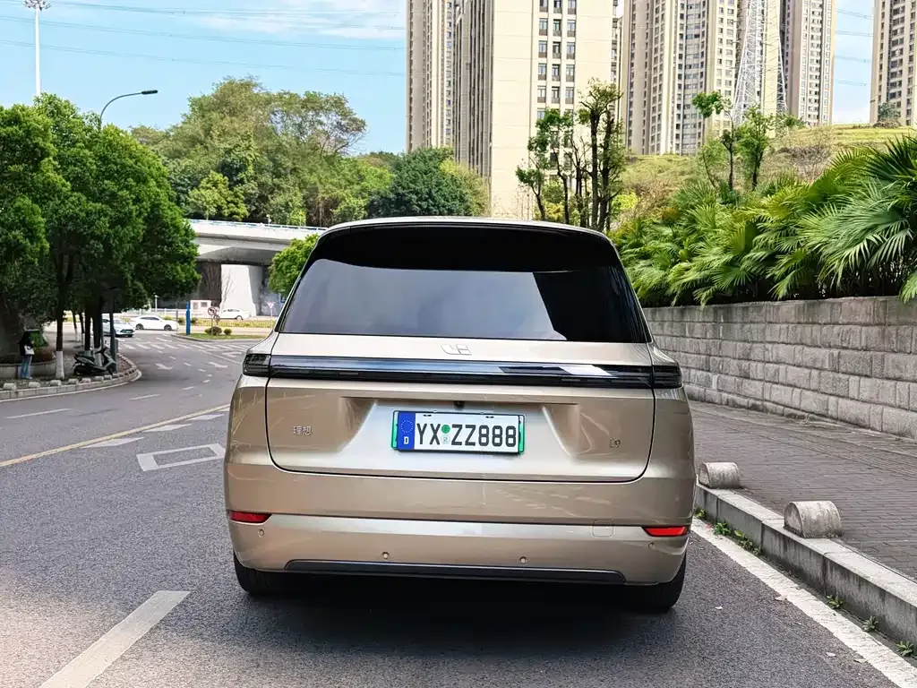 Li Auto Li L9 2023 из CN, фото 10