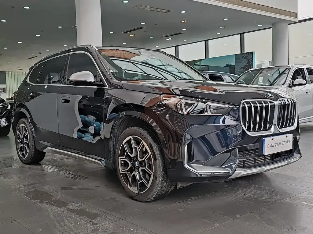 BMW X1 2024 из CN, фото 8