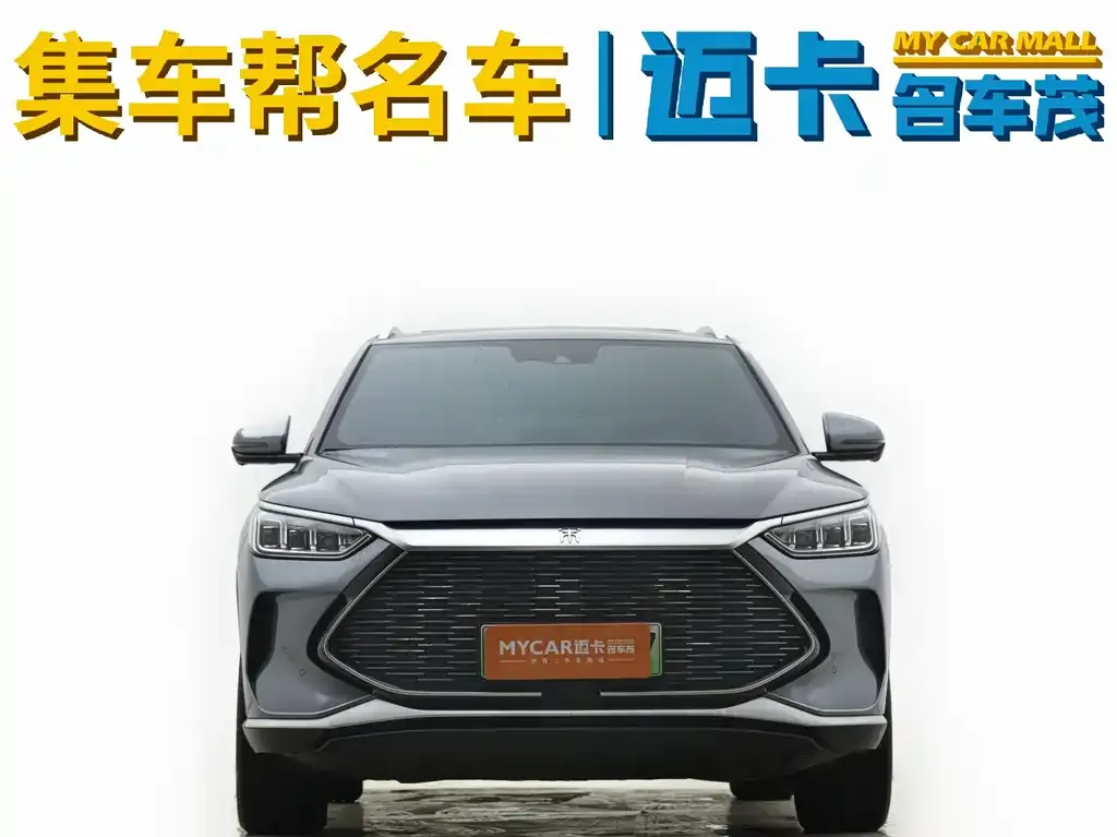 BYD PLUS New Energy 2023 из CN, фото 10