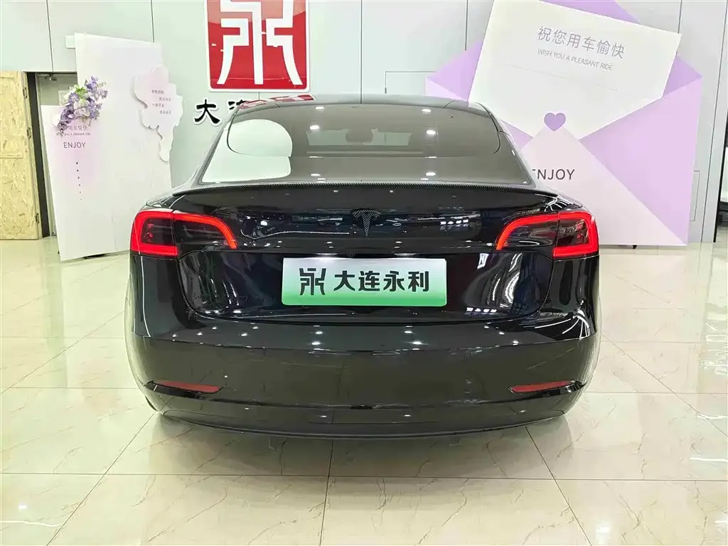Tesla Model 3 2023 из CN, фото 9