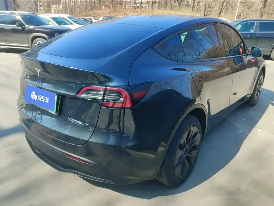 Tesla Model Y — фото 6