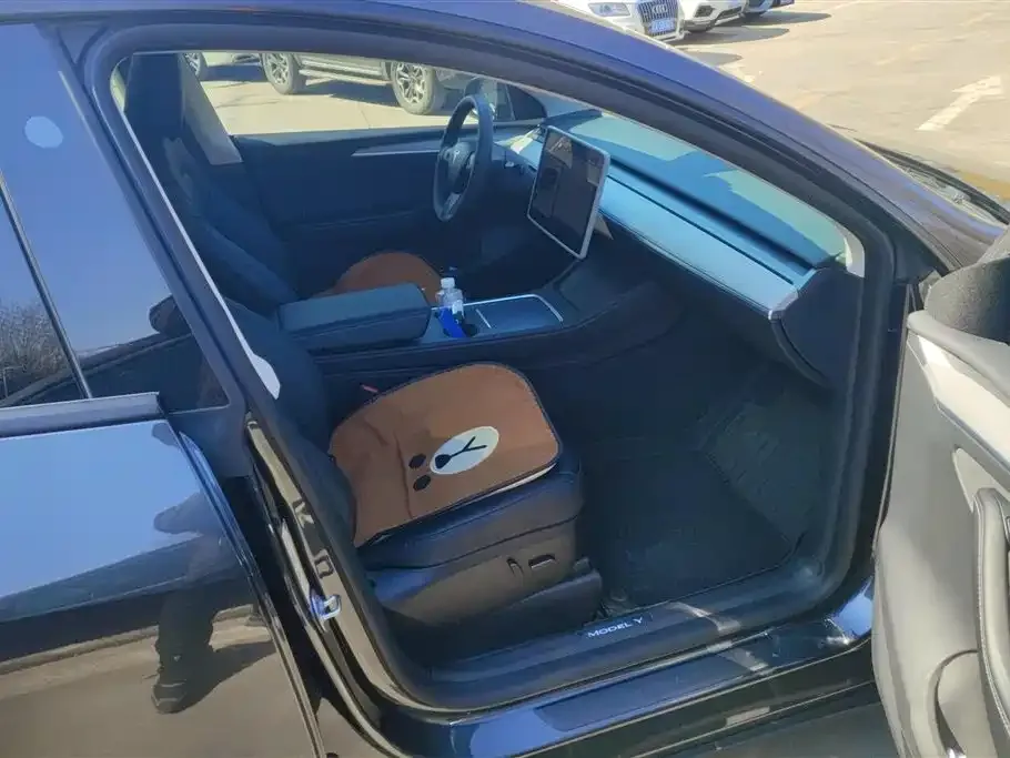 Tesla Model Y — фото 10