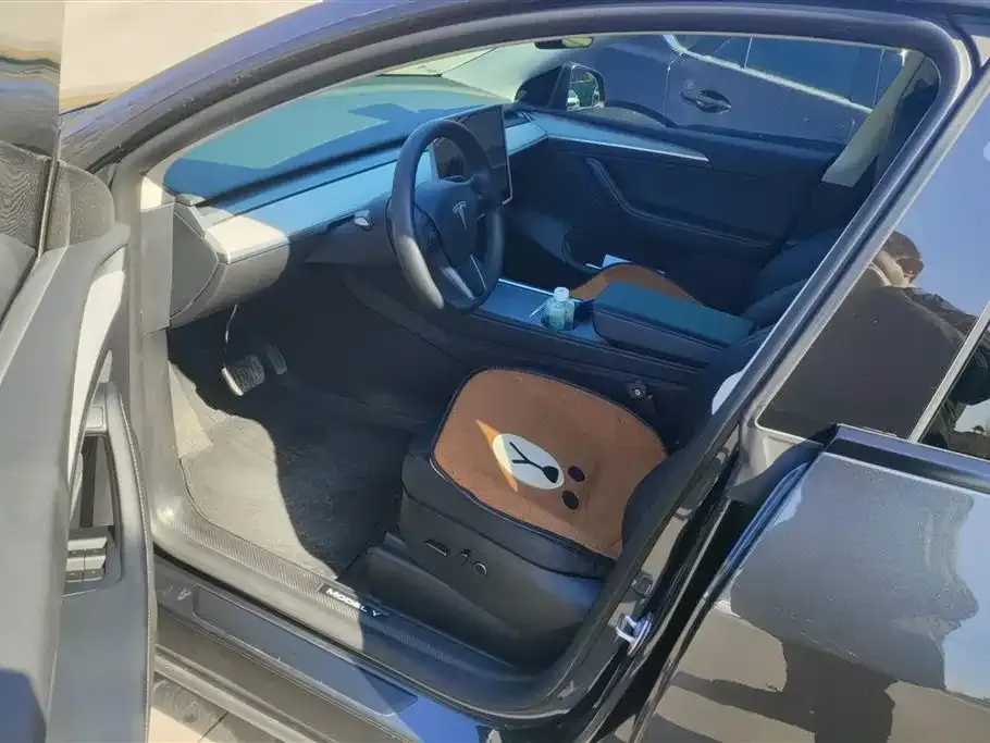 Tesla Model Y — фото 9