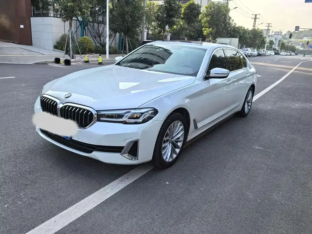 BMW 5 Series 2021 из CN, фото 1