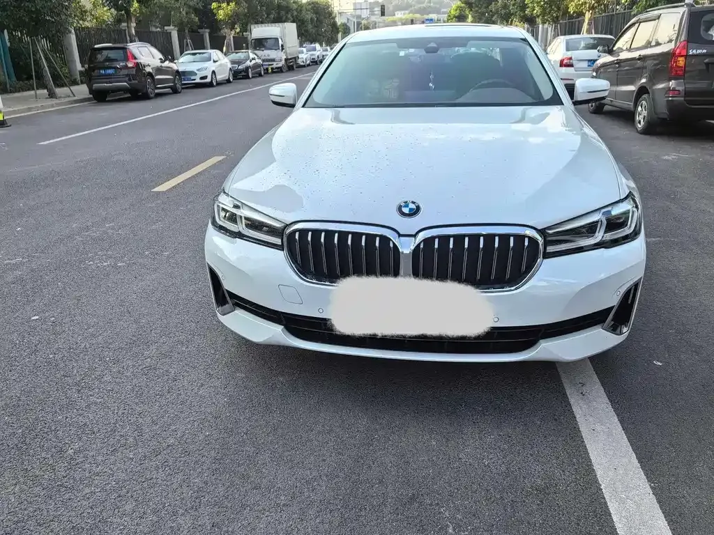 BMW 5 Series 2021 из CN, фото 9