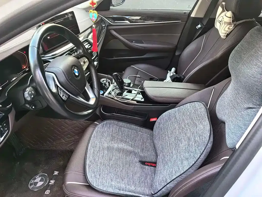 BMW 5 Series 2021 из CN, фото 5