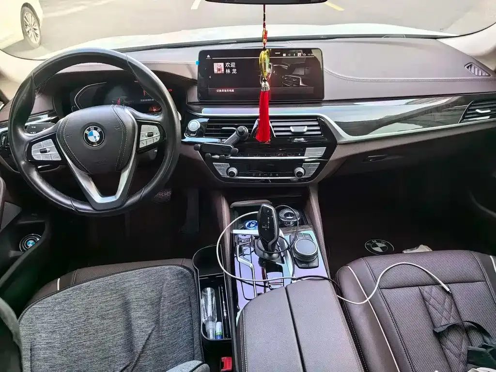 BMW 5 Series 2021 из CN, фото 6