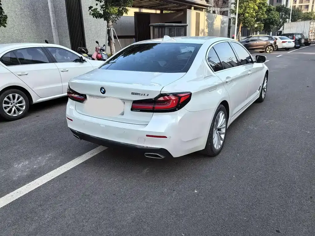 BMW 5 Series 2021 из CN, фото 7