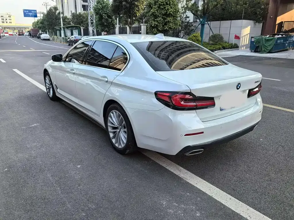 BMW 5 Series 2021 из CN, фото 4