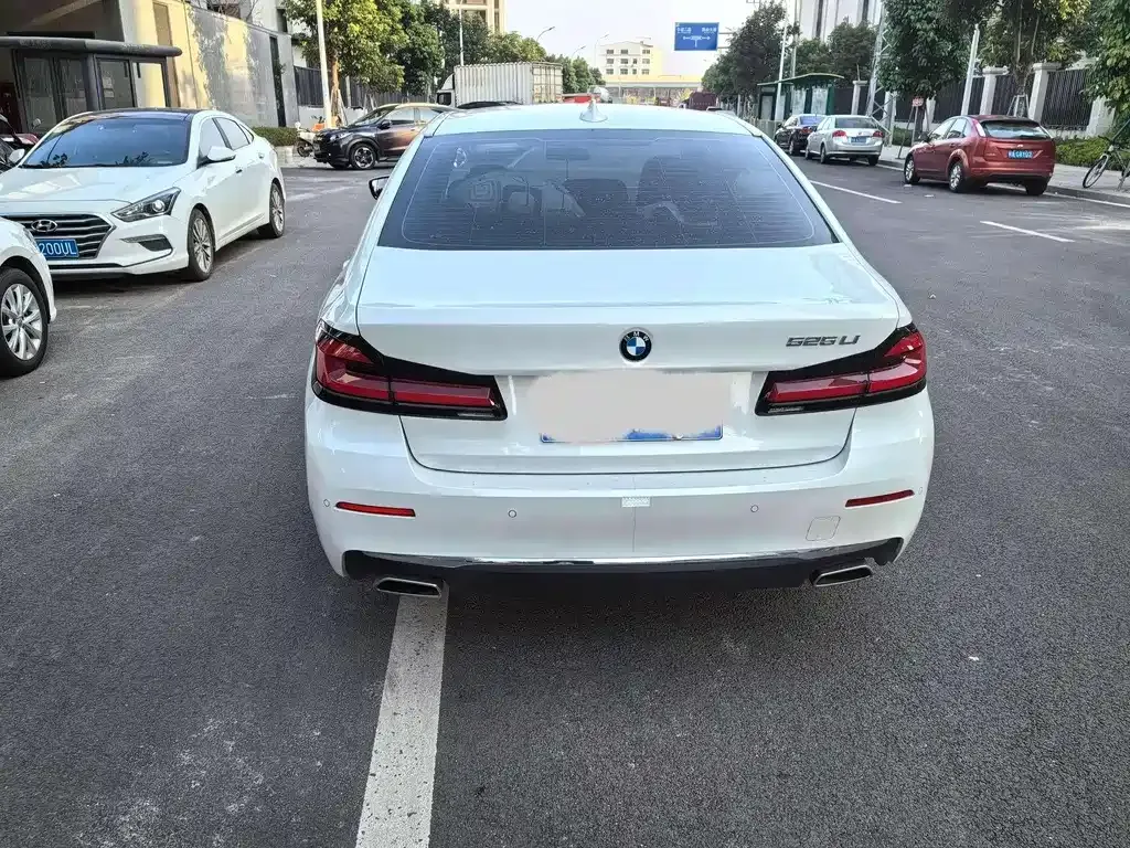 BMW 5 Series 2021 из CN, фото 3