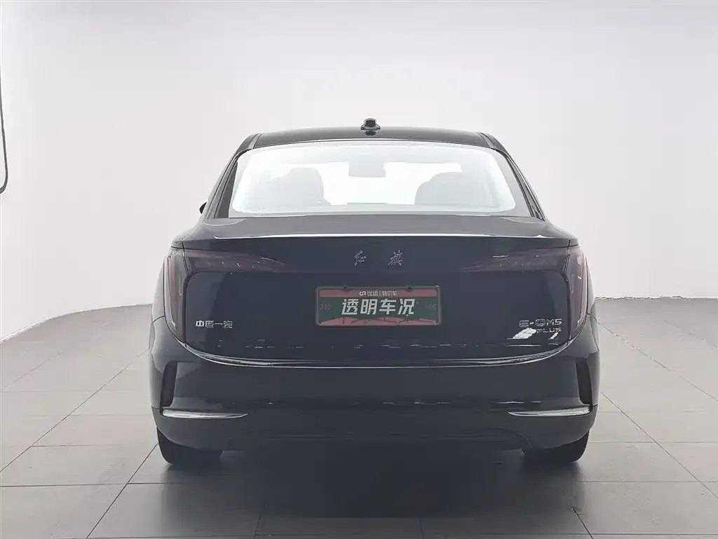 Hongqi E-QM5 — фото 4