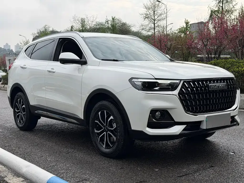 Haval H6 2024 из CN, фото 9