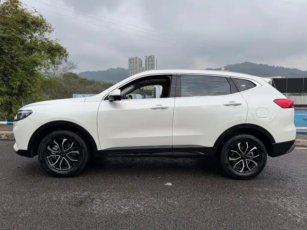 Haval H6 2024 из CN, фото 5