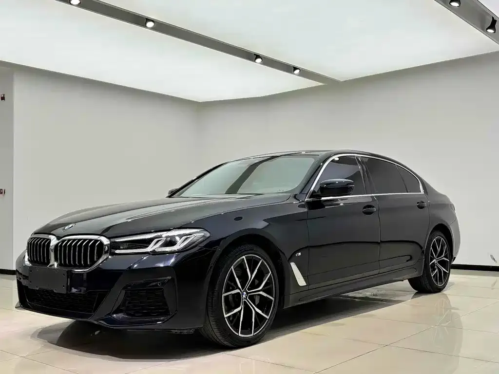 BMW 5 Series 2021 из CN, фото 1