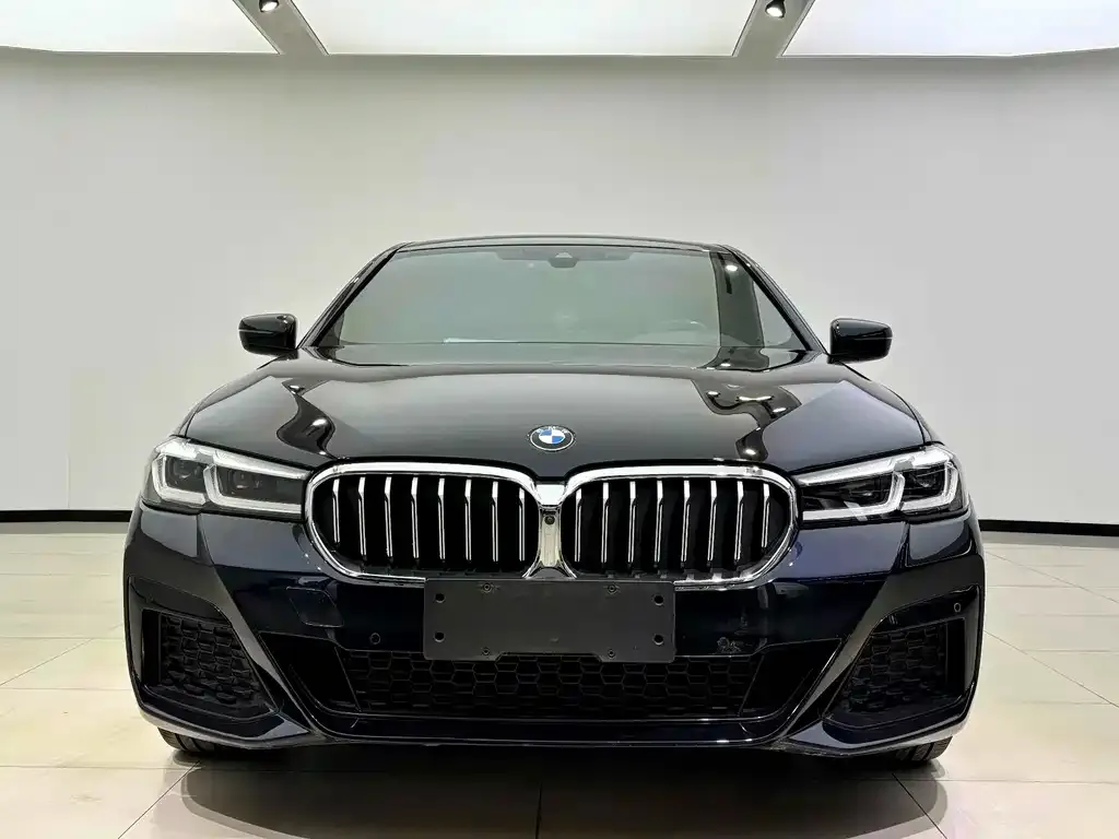 BMW 5 Series 2021 из CN, фото 4
